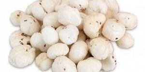 Normal Makhana