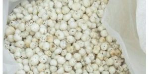 Organic Makhana