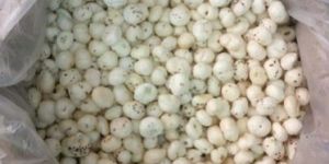 Phool Makhana