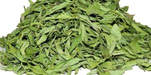 Dried Stevia Leaves
