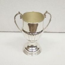 Trophy Award