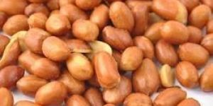 Roasted Groundnut