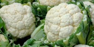 Organic Cauliflower