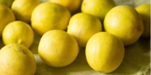 Organic Lemon