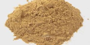 Allium Sativum Extract