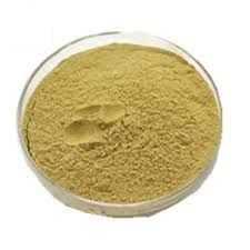 Alpinia Galanga Extract