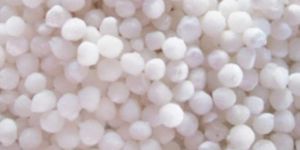 Big Sabudana