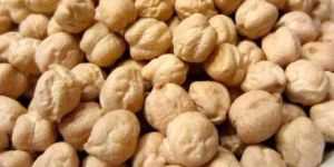 White Chickpeas