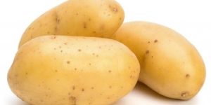 Fresh Organic Potato