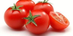 Fresh Organic Tomato