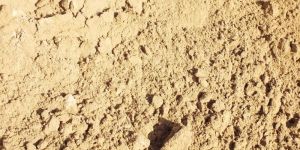 Natural Silica Sand Powder