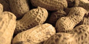 Shelled Peanuts