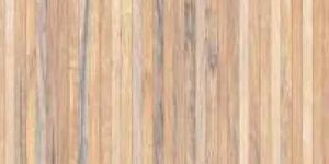 Digital Glaze Vitrified Wall Tiles