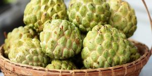 Fresh Custard Apple