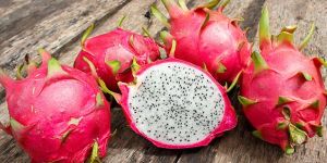 Fresh Dragon Fruit