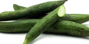 Natural Sponge Gourd