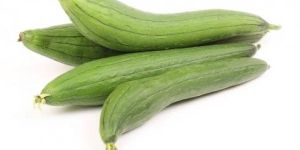 Organic Sponge Gourd