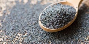 Poppy Seeds