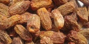 Dried Dates