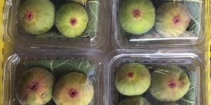 Fresh Figs