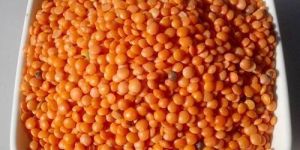 Red Moong Dal