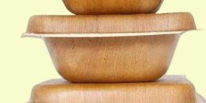 Areca Leaf Food Container