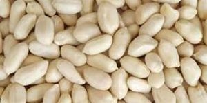 Blanched Peanut Kernels