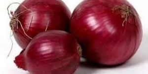 Fresh Big Red Onion