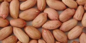Raw Peanuts Kernels