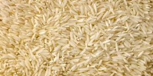 Basmati Paddy Rice