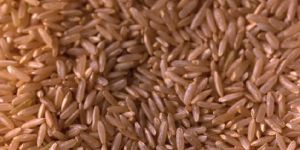 Brown Basmati Rice