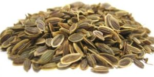 Dried Dill Seeds