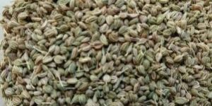 Green Ajwain Seeds