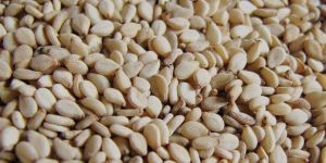 High Quality Sesame Seeds