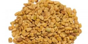 Indian Fenugreek Seeds