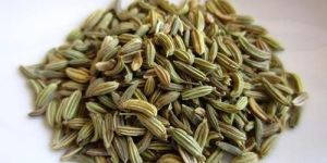 Whole Fennel Seeds