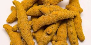 Dried Turmeric Finger