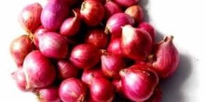 Small Pink Onion