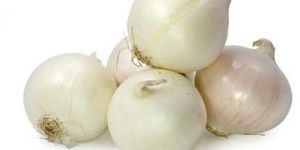 Small White Onion
