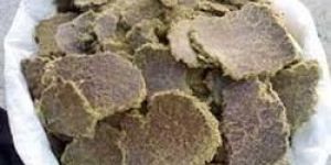 Cottonseed Cake (Papadi)