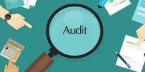 Company Audit Services