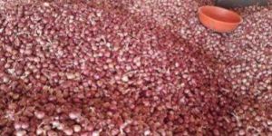 Healthy Natural Onion