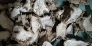 Organic Dried Ginger Slices