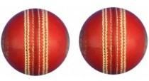 SS INCREDI SYNTHETIC CRICKET BALL