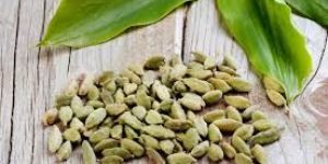 Green Cardamom