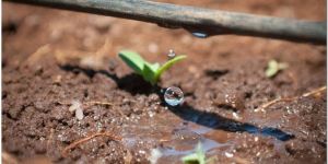 Drip Lateral 16mm/20mm (inline/online)