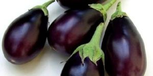 Fresh Brinjal