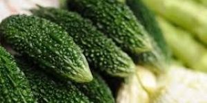 Natural Bitter Gourd