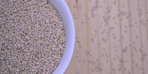 Organic White Sesame Seeds