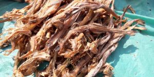 Dried Bombay Duck